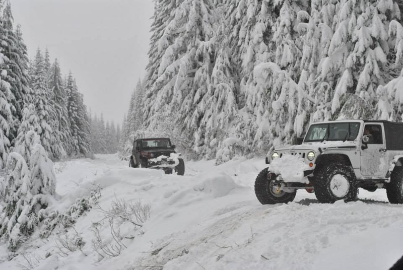Illustration for article titled A tribute to my Jeep